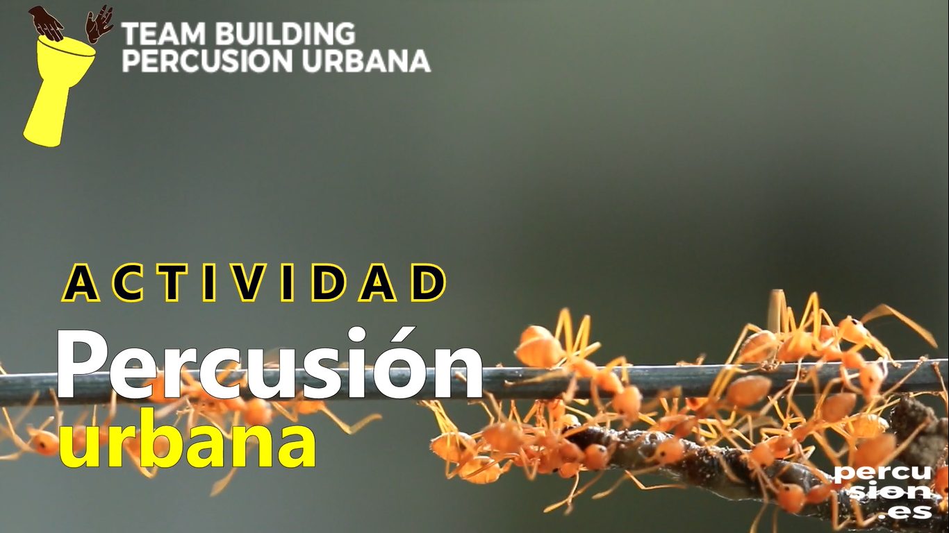 Junk drumming estilo STOMP